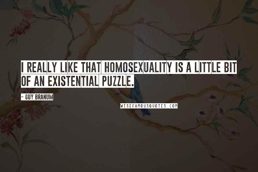 Guy Branum Quotes: I really like that homosexuality is a little bit of an existential puzzle.