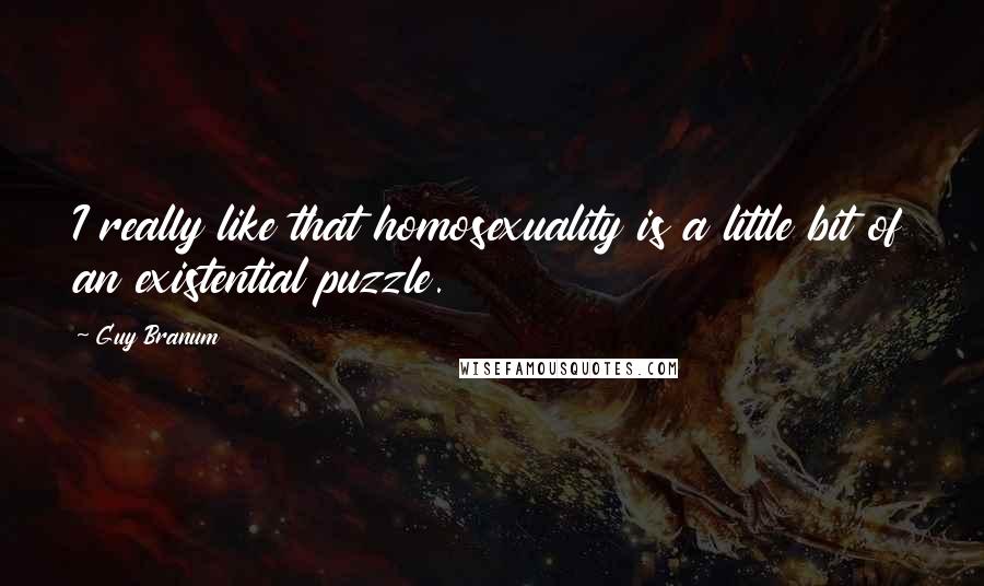 Guy Branum Quotes: I really like that homosexuality is a little bit of an existential puzzle.