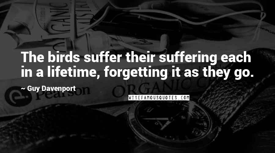 Guy Davenport Quotes: The birds suffer their suffering each in a lifetime, forgetting it as they go.