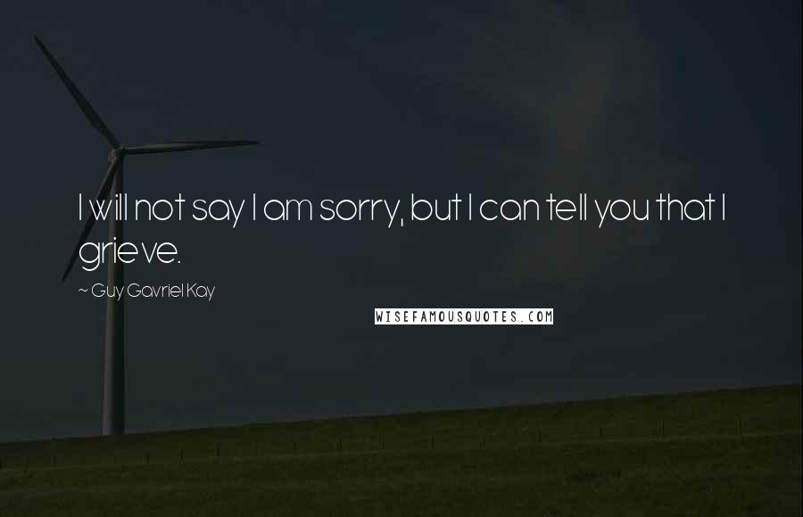 Guy Gavriel Kay Quotes: I will not say I am sorry, but I can tell you that I grieve.