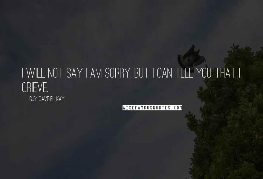 Guy Gavriel Kay Quotes: I will not say I am sorry, but I can tell you that I grieve.