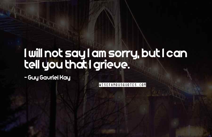 Guy Gavriel Kay Quotes: I will not say I am sorry, but I can tell you that I grieve.