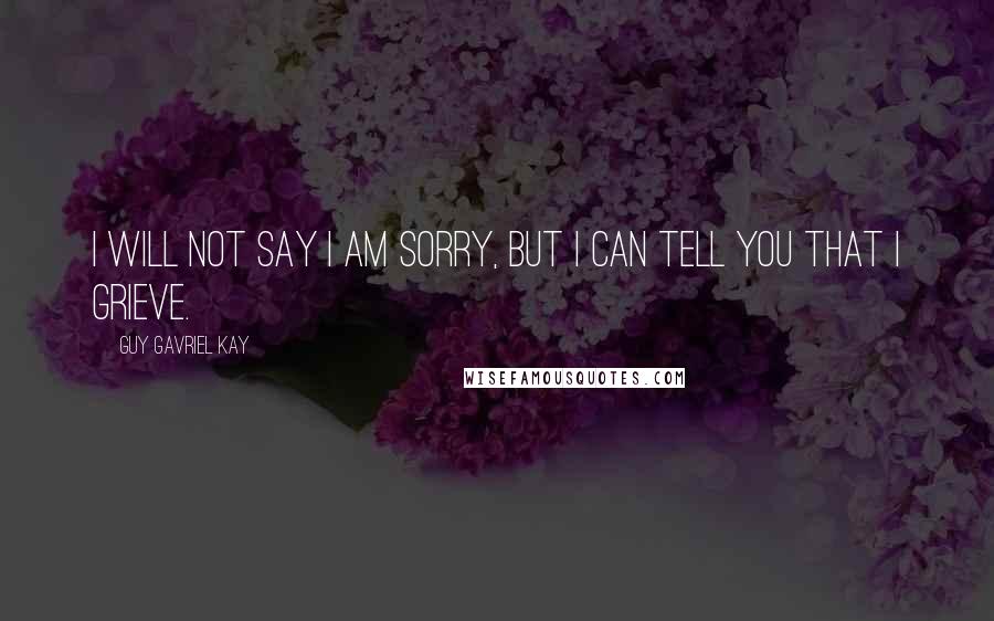 Guy Gavriel Kay Quotes: I will not say I am sorry, but I can tell you that I grieve.