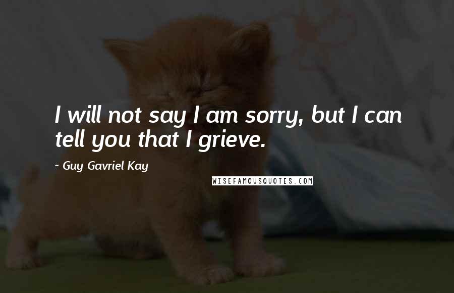 Guy Gavriel Kay Quotes: I will not say I am sorry, but I can tell you that I grieve.