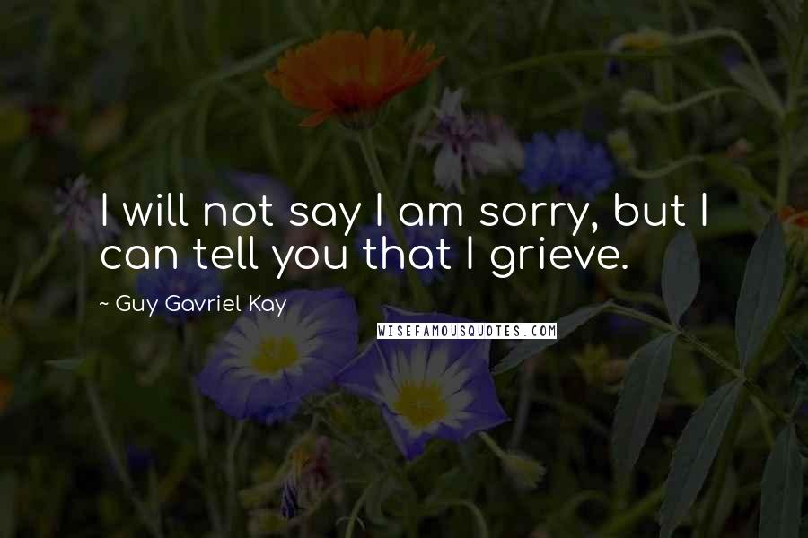 Guy Gavriel Kay Quotes: I will not say I am sorry, but I can tell you that I grieve.