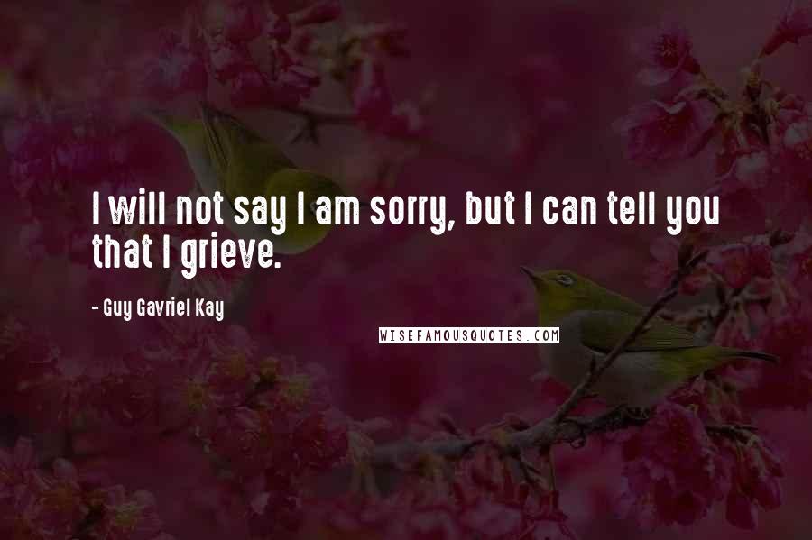 Guy Gavriel Kay Quotes: I will not say I am sorry, but I can tell you that I grieve.