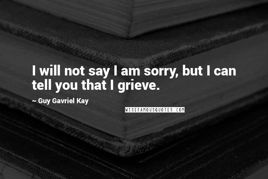 Guy Gavriel Kay Quotes: I will not say I am sorry, but I can tell you that I grieve.