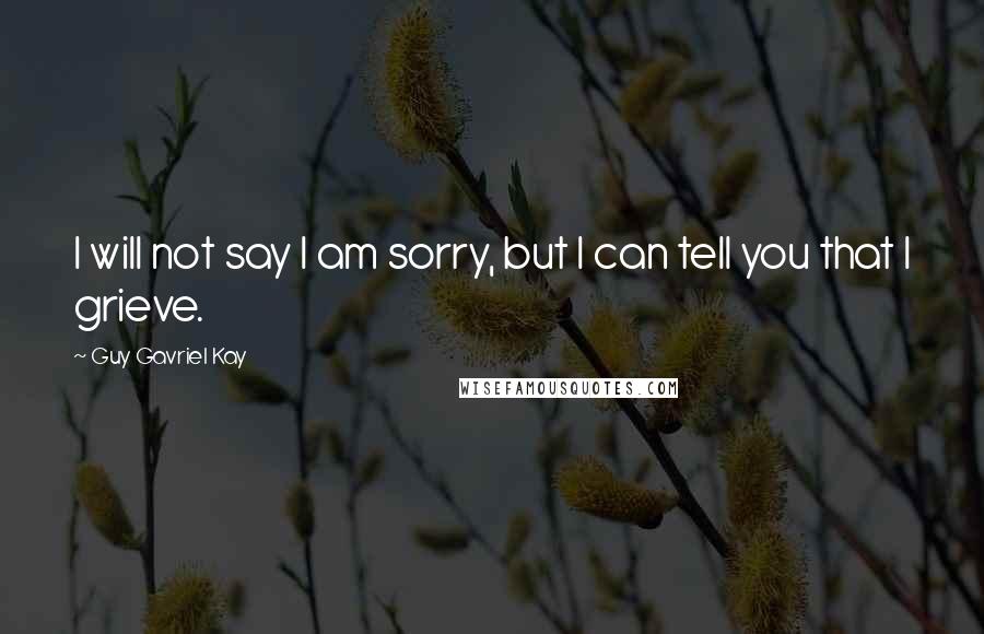 Guy Gavriel Kay Quotes: I will not say I am sorry, but I can tell you that I grieve.