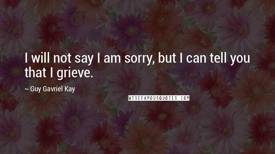 Guy Gavriel Kay Quotes: I will not say I am sorry, but I can tell you that I grieve.