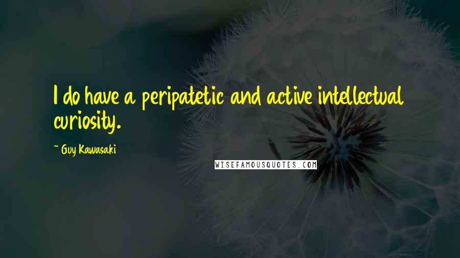 Guy Kawasaki Quotes: I do have a peripatetic and active intellectual curiosity.