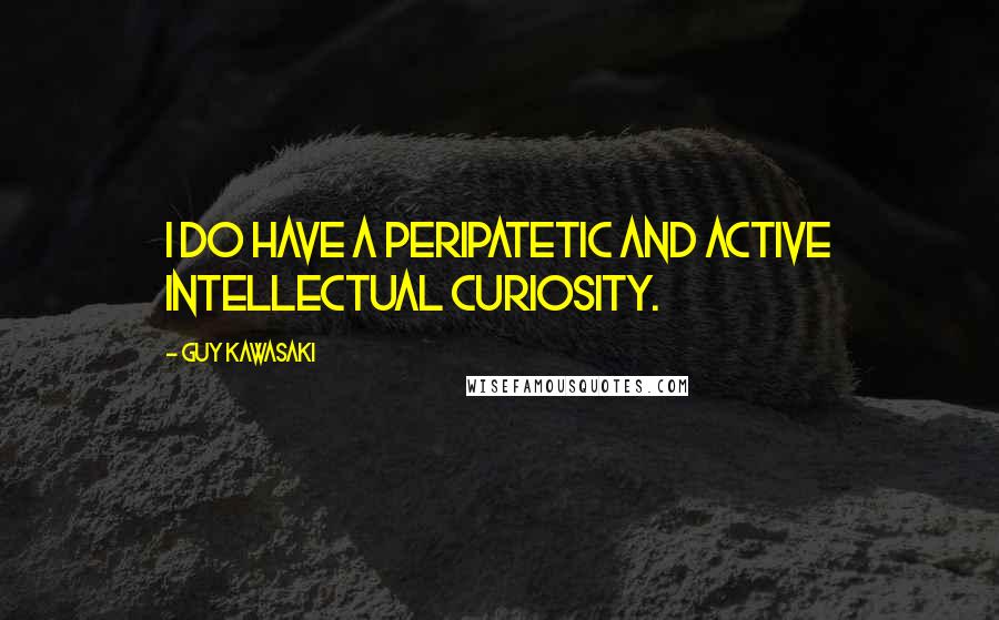 Guy Kawasaki Quotes: I do have a peripatetic and active intellectual curiosity.