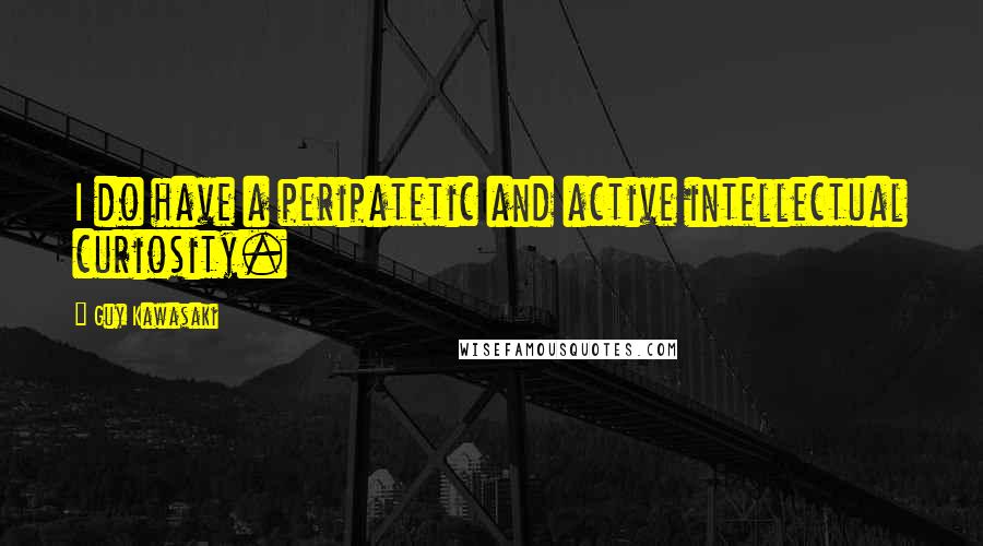 Guy Kawasaki Quotes: I do have a peripatetic and active intellectual curiosity.