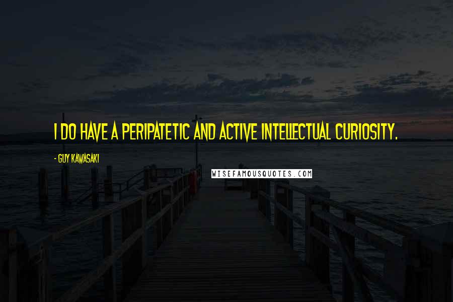 Guy Kawasaki Quotes: I do have a peripatetic and active intellectual curiosity.