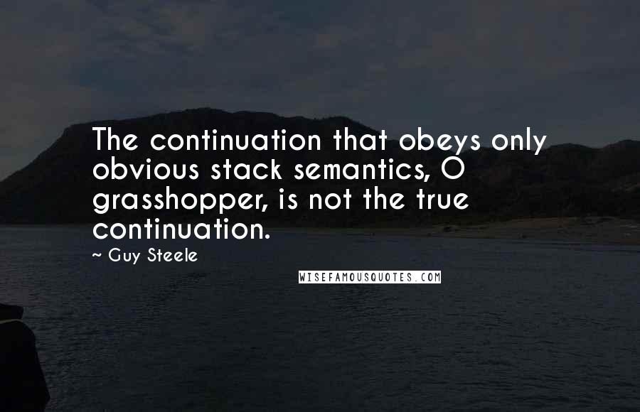 Guy Steele Quotes: The continuation that obeys only obvious stack semantics, O grasshopper, is not the true continuation.