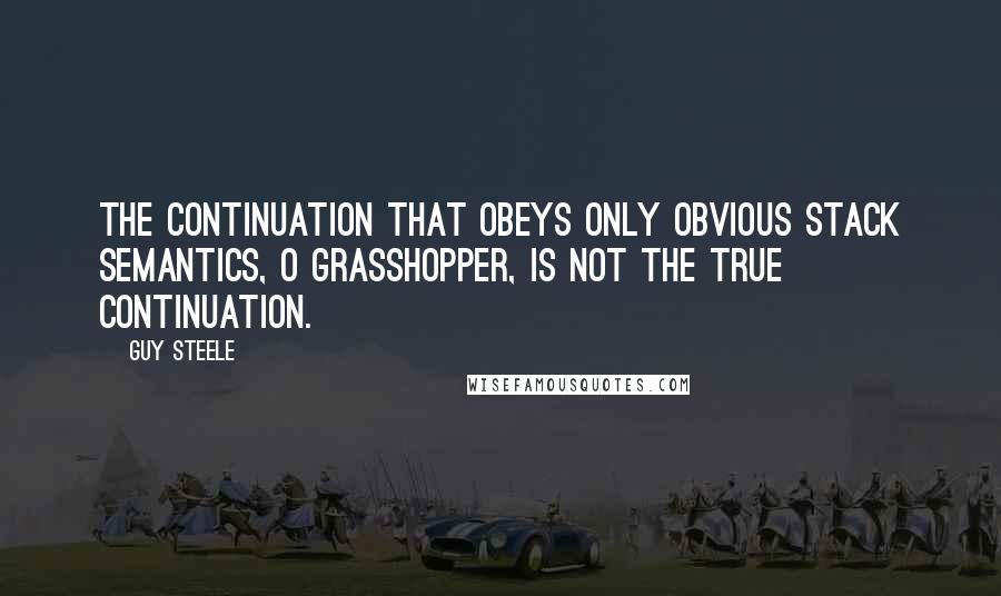 Guy Steele Quotes: The continuation that obeys only obvious stack semantics, O grasshopper, is not the true continuation.