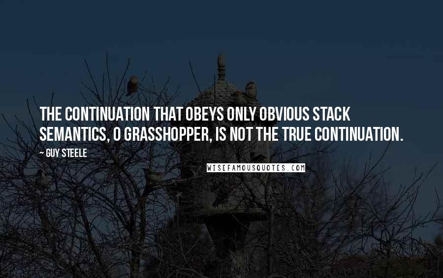 Guy Steele Quotes: The continuation that obeys only obvious stack semantics, O grasshopper, is not the true continuation.