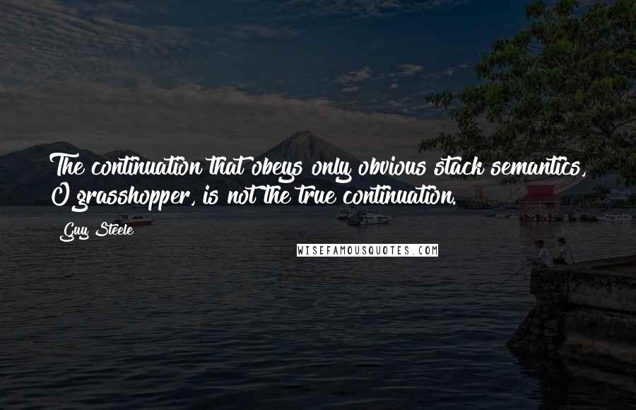 Guy Steele Quotes: The continuation that obeys only obvious stack semantics, O grasshopper, is not the true continuation.