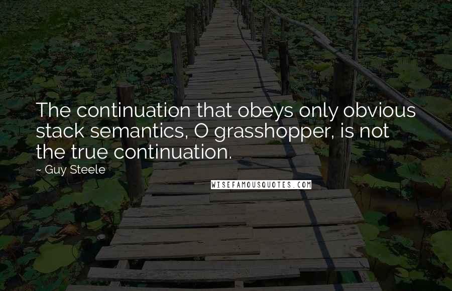 Guy Steele Quotes: The continuation that obeys only obvious stack semantics, O grasshopper, is not the true continuation.