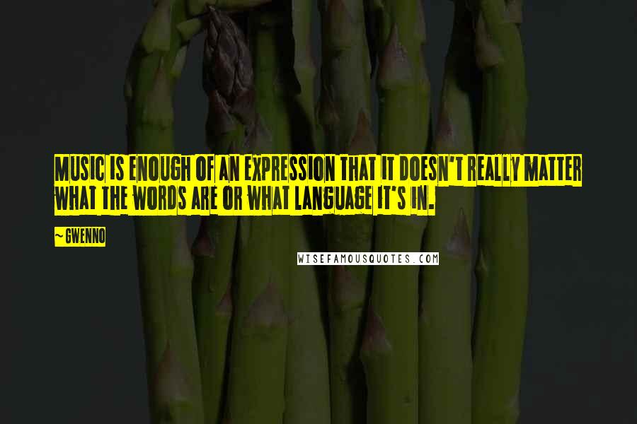 Gwenno Quotes: Music is enough of an expression that it doesn't really matter what the words are or what language it's in.