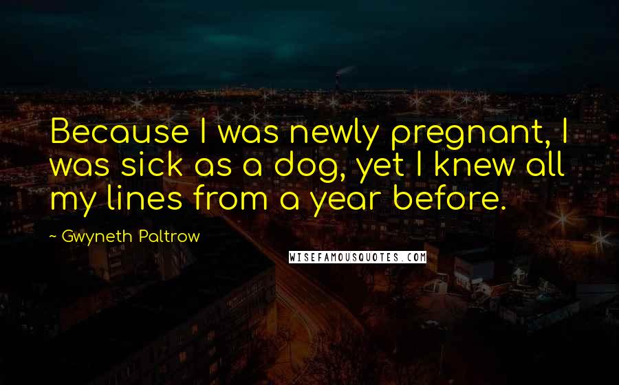 Gwyneth Paltrow Quotes: Because I was newly pregnant, I was sick as a dog, yet I knew all my lines from a year before.