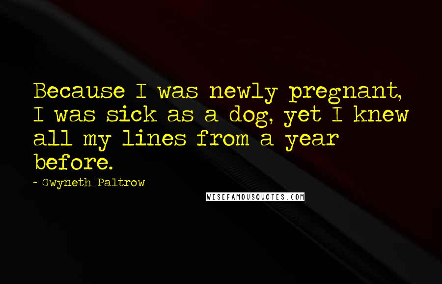 Gwyneth Paltrow Quotes: Because I was newly pregnant, I was sick as a dog, yet I knew all my lines from a year before.