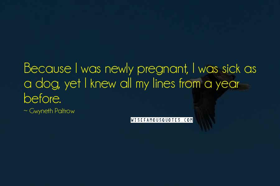 Gwyneth Paltrow Quotes: Because I was newly pregnant, I was sick as a dog, yet I knew all my lines from a year before.