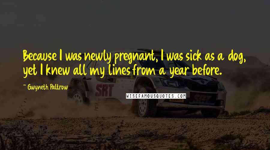 Gwyneth Paltrow Quotes: Because I was newly pregnant, I was sick as a dog, yet I knew all my lines from a year before.