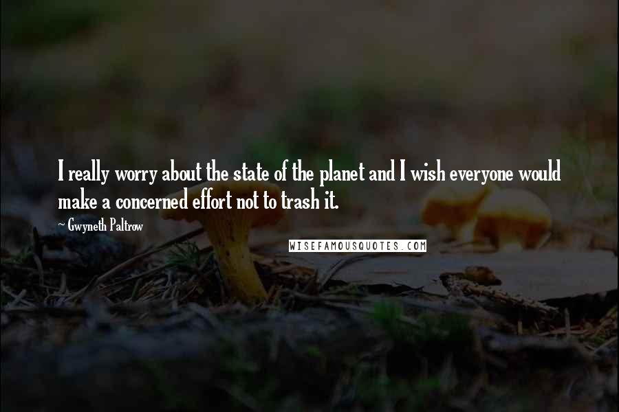 Gwyneth Paltrow Quotes: I really worry about the state of the planet and I wish everyone would make a concerned effort not to trash it.