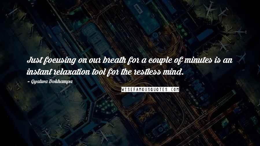 Gyalwa Dokhampa Quotes: Just focusing on our breath for a couple of minutes is an instant relaxation tool for the restless mind.