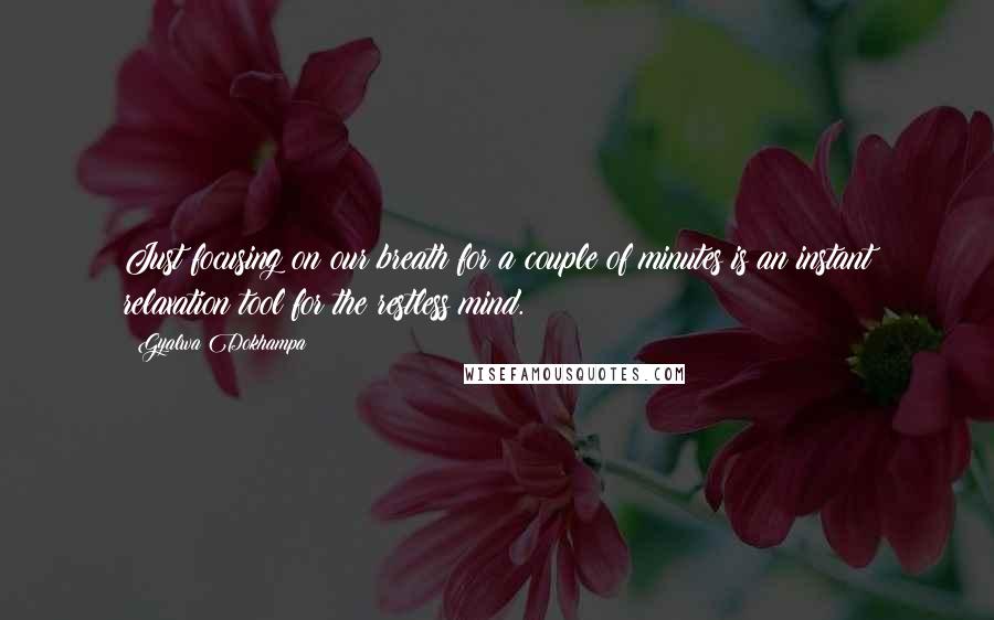 Gyalwa Dokhampa Quotes: Just focusing on our breath for a couple of minutes is an instant relaxation tool for the restless mind.