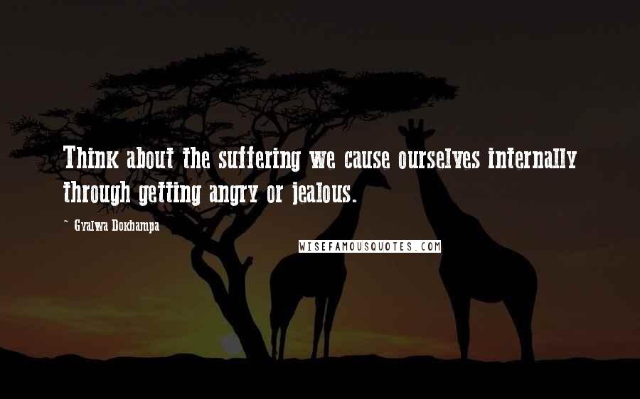 Gyalwa Dokhampa Quotes: Think about the suffering we cause ourselves internally through getting angry or jealous.