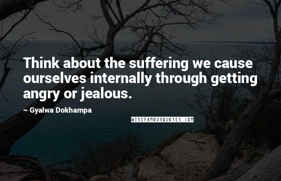 Gyalwa Dokhampa Quotes: Think about the suffering we cause ourselves internally through getting angry or jealous.
