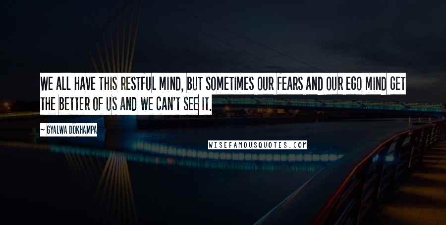 Gyalwa Dokhampa Quotes: We all have this restful mind, but sometimes our fears and our ego mind get the better of us and we can't see it.