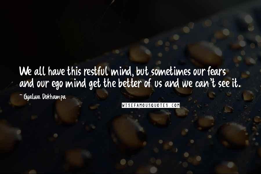 Gyalwa Dokhampa Quotes: We all have this restful mind, but sometimes our fears and our ego mind get the better of us and we can't see it.