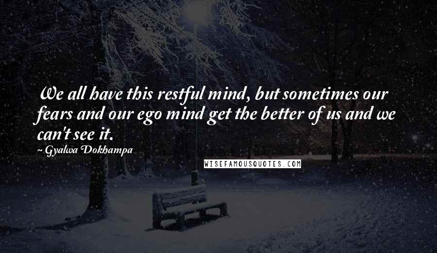 Gyalwa Dokhampa Quotes: We all have this restful mind, but sometimes our fears and our ego mind get the better of us and we can't see it.