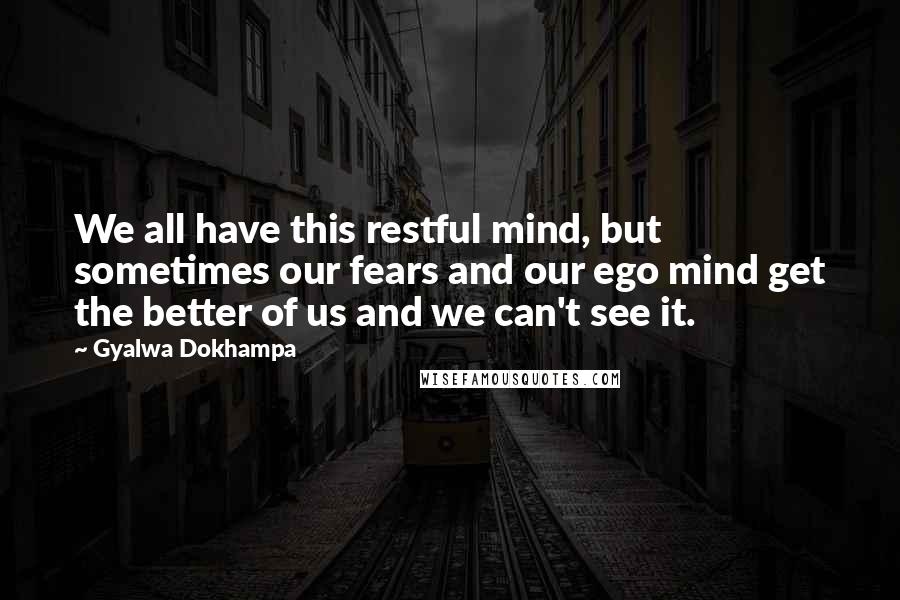 Gyalwa Dokhampa Quotes: We all have this restful mind, but sometimes our fears and our ego mind get the better of us and we can't see it.