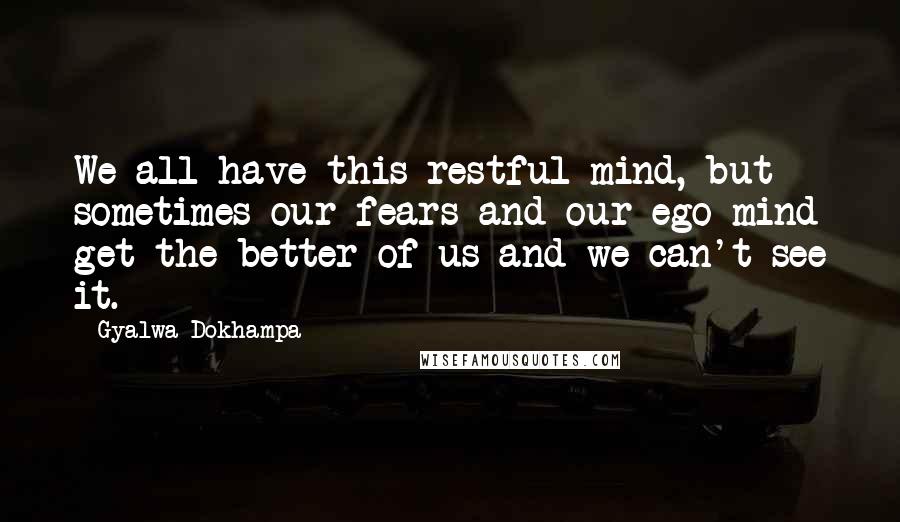 Gyalwa Dokhampa Quotes: We all have this restful mind, but sometimes our fears and our ego mind get the better of us and we can't see it.