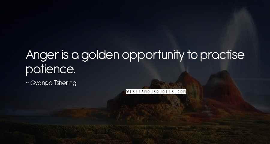 Gyonpo Tshering Quotes: Anger is a golden opportunity to practise patience.