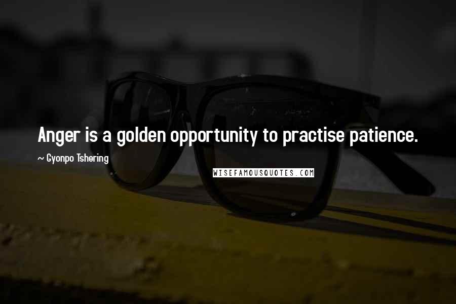 Gyonpo Tshering Quotes: Anger is a golden opportunity to practise patience.