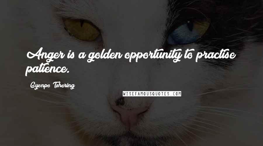 Gyonpo Tshering Quotes: Anger is a golden opportunity to practise patience.