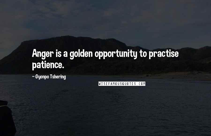 Gyonpo Tshering Quotes: Anger is a golden opportunity to practise patience.