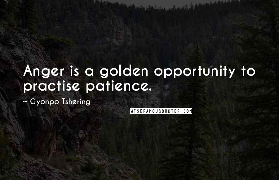 Gyonpo Tshering Quotes: Anger is a golden opportunity to practise patience.