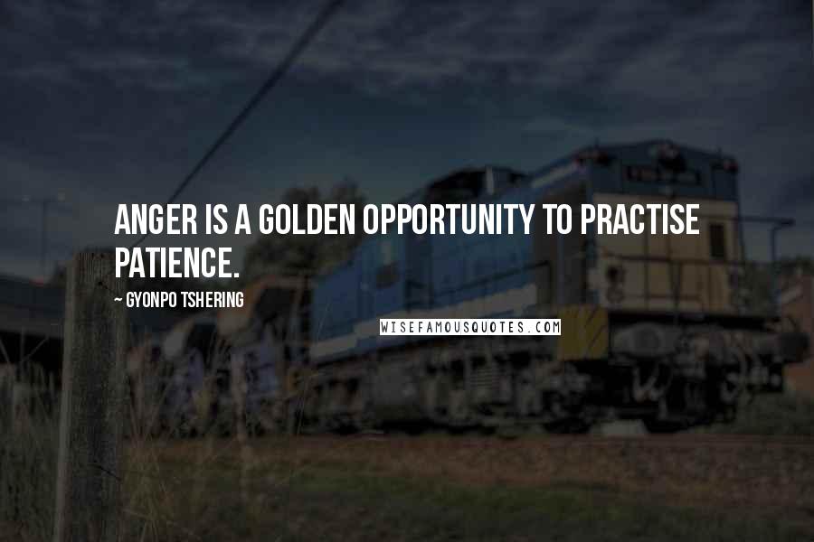 Gyonpo Tshering Quotes: Anger is a golden opportunity to practise patience.