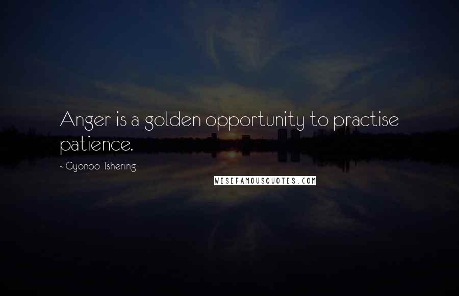 Gyonpo Tshering Quotes: Anger is a golden opportunity to practise patience.