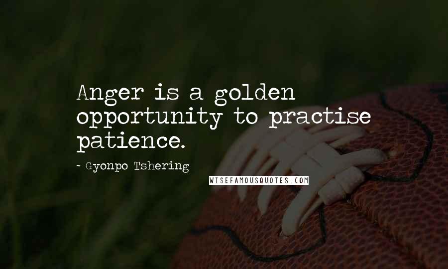 Gyonpo Tshering Quotes: Anger is a golden opportunity to practise patience.