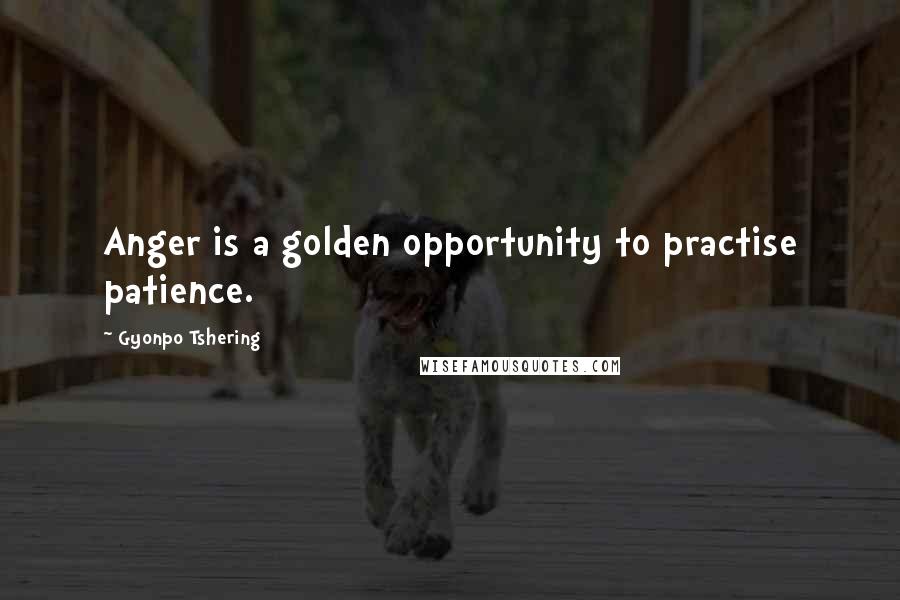 Gyonpo Tshering Quotes: Anger is a golden opportunity to practise patience.