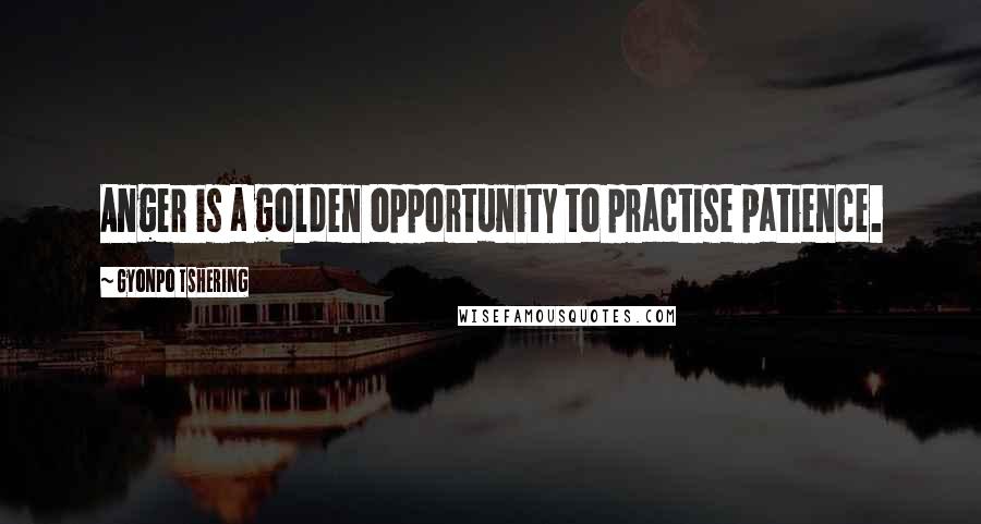Gyonpo Tshering Quotes: Anger is a golden opportunity to practise patience.