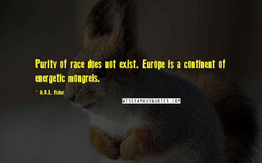 H.A.L. Fisher Quotes: Purity of race does not exist. Europe is a continent of energetic mongrels.