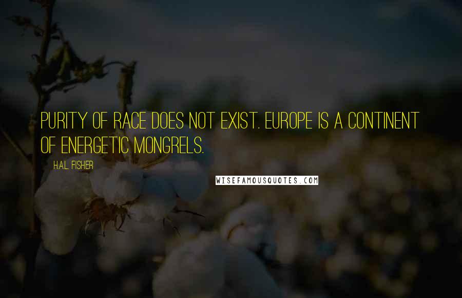 H.A.L. Fisher Quotes: Purity of race does not exist. Europe is a continent of energetic mongrels.