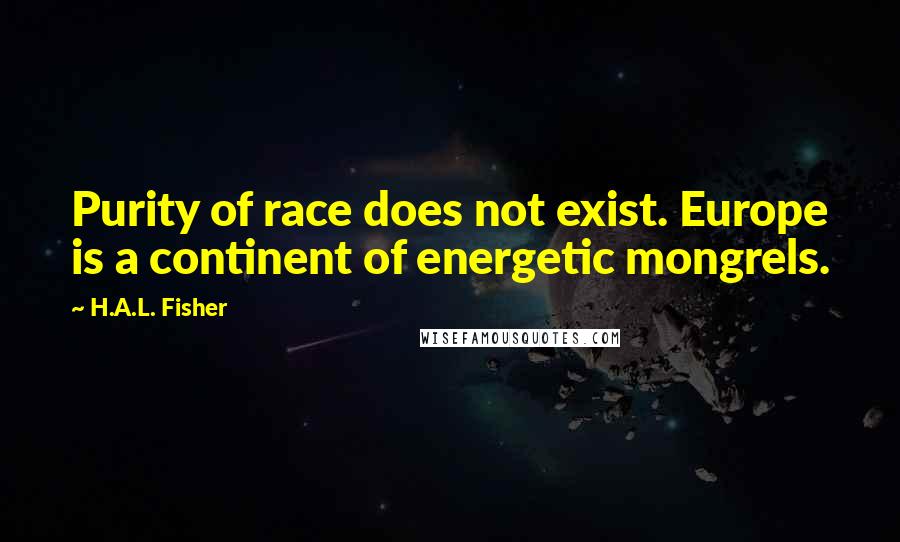 H.A.L. Fisher Quotes: Purity of race does not exist. Europe is a continent of energetic mongrels.